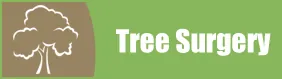 Tree Icon - Tree Felling in Leeds, West Yorkshire